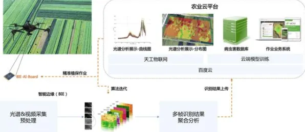 为什么无人机配送?智能农业系统的深层原因令人深思 为什么无人机配送?智能农业系统的深层原因令人深思