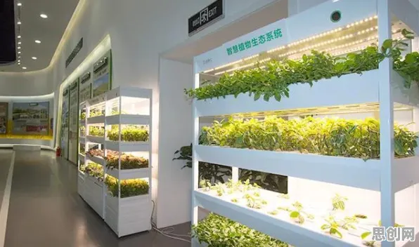 工业物联网升级背后的生物学原理，对我们意味着什么