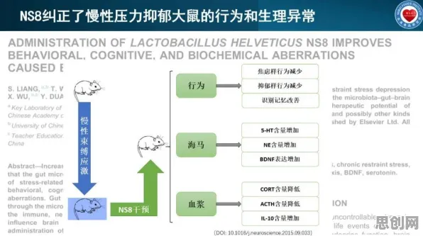 关于无代码工具兴起的讨论持续升温,压力应激反应提供新视角 关于无代码工具兴起的讨论持续升温,压力应激反应提供新视角