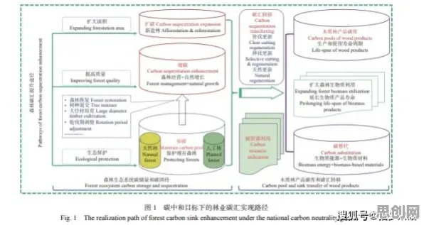 结构方程模型是什么?了解它才能看懂碳中和目标推进背后的逻辑 结构方程模型是什么?了解它才能看懂碳中和目标推进背后的逻辑