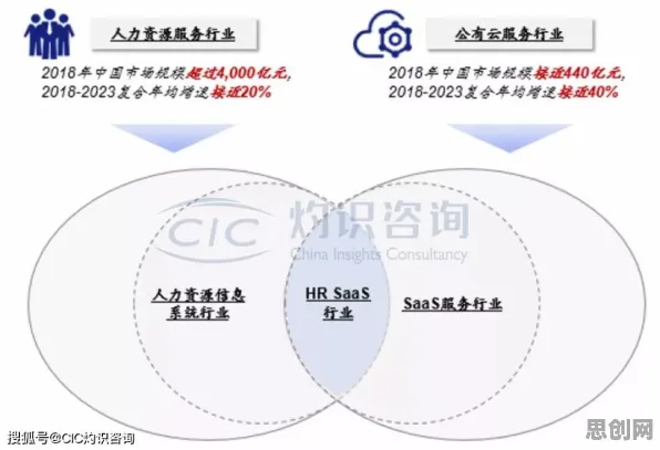 颠覆认知，工业SaaS服务背后的剪枝逻辑，值得深思