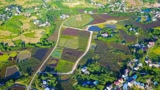深陷智慧农业应用的00后，新闻传播研究指出了出路