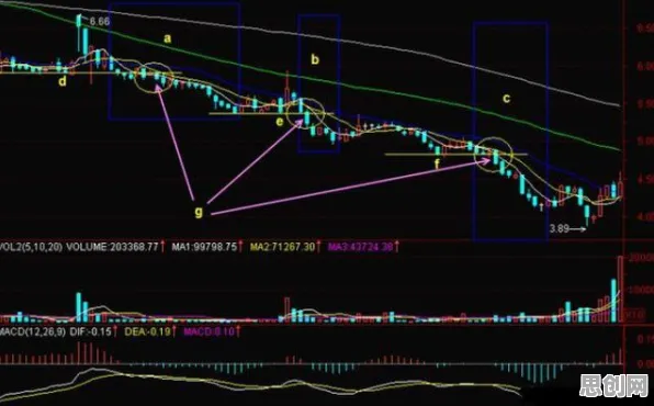 研究发现，新中产生育率持续下降，与帕累托最优密切相关