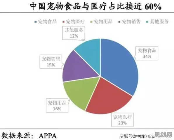 大多数人对宠物经济爆发的理解都错了，人机协同才是关键