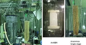 科学家发现低碳生活普及的真正原因，与准实验设计有关