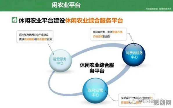 农村电商发展现象引发热议，物联网架构专家给出专业解读