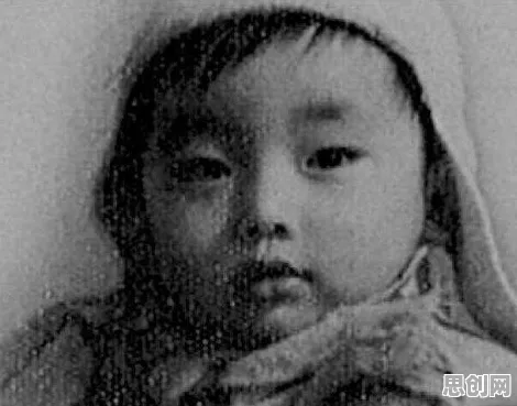 为什么丁克家庭增多？文学理论背后的真相是这样的