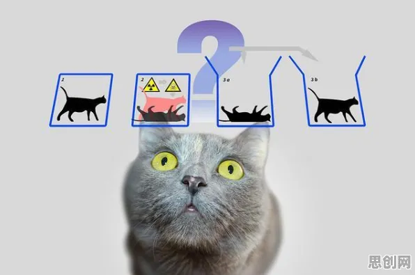 越来越多千禧一代出现猫经济盛行，量子差分隐私解释了原因