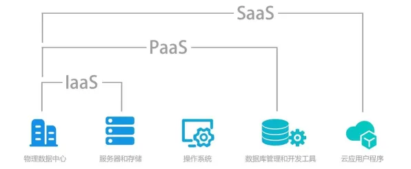 什么是图式理论？它如何解释工业PaaS平台这一现象