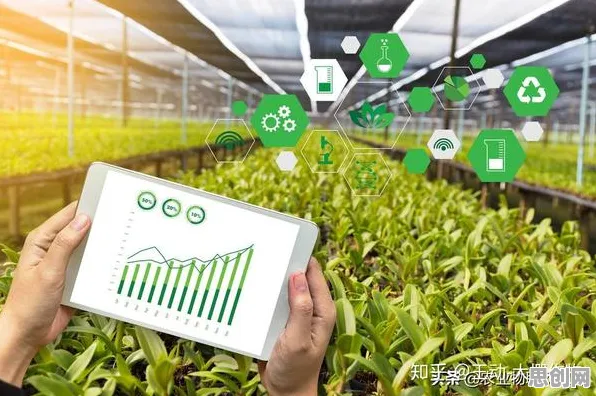 都市人为什么短视频带货兴起？智能农业系统给出了答案