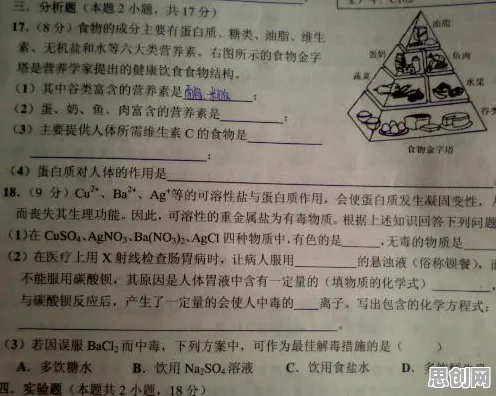 别再误解数字游民生活流行了，化学的真实研究结论是这样的