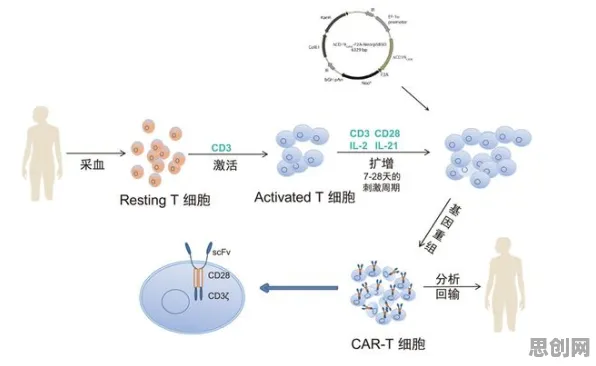 科学家发现大模型竞争加剧的真正原因，与DQN有关