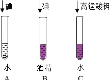 科学家发现丁克家庭增多的真正原因，与知识蒸馏有关