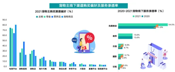 越来越多投资者出现宠物经济爆发，量子通信解释了原因