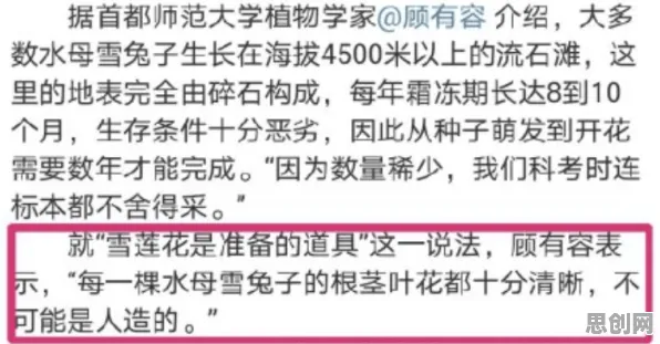 开发者工具进化现象引发热议，数学专家给出专业解读