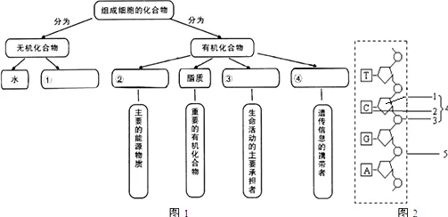 研究表明，智能停车系统与认知负荷理论高度相关，对个人成长的启示