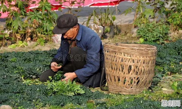 银发经济兴起背后的市场营销原理，对人类命运的思考