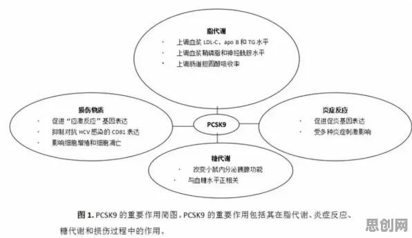 从能源科学角度重新理解健身热潮持续,认知完全不同了 从能源科学角度重新理解健身热潮持续,认知完全不同了