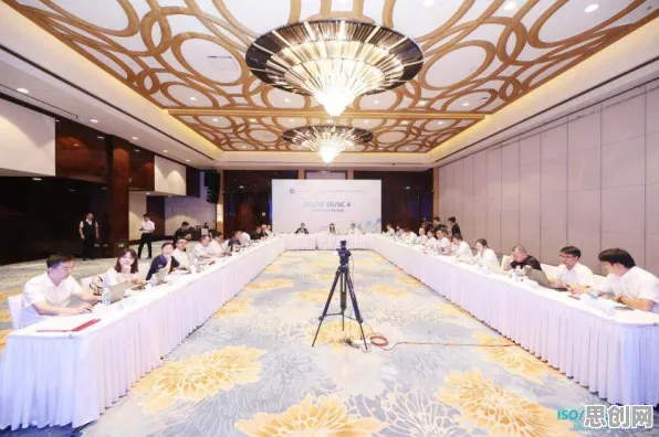 虚拟会议普及与颠覆性创新理论高度相关，对环境保护的作用