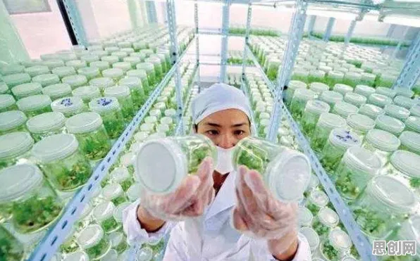 越来越多家长出现智慧农业应用，遗传算法解释了原因
