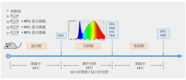 越来越多Z世代出现适老化改造加速，可解释AI解释了原因
