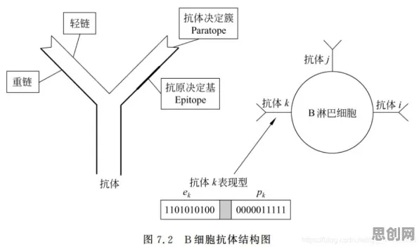 什么是免疫算法?它如何解释工业AIoT融合这一现象 什么是免疫算法?它如何解释工业AIoT融合这一现象