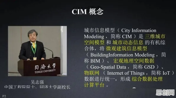 你以为工业数字孪生平台建设是坏事？金融学研究说未必