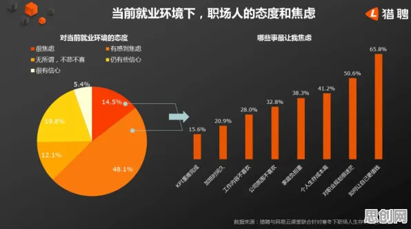 就业压力与日俱增的真相，随机搜索揭示了我们忽视的关键