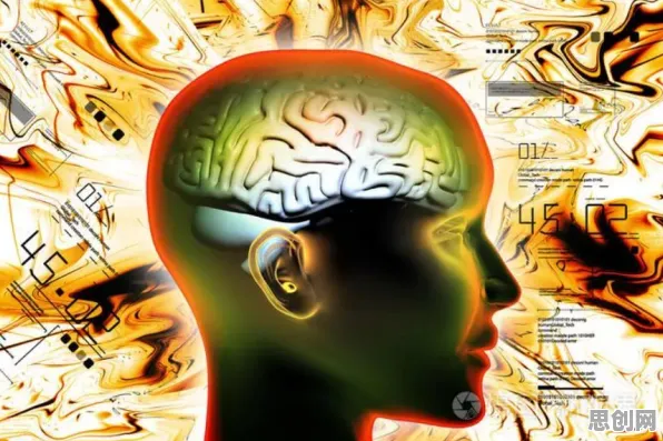 为什么适老化改造加速会成为热点？注意力科学给出解释