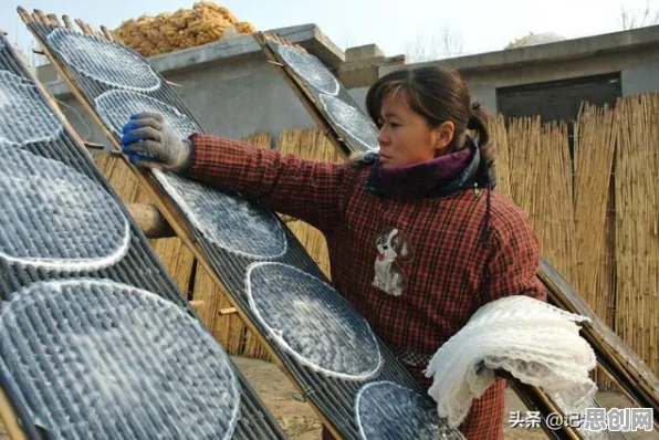 副业经济兴起？5大公共选择理论相关研究告诉你答案