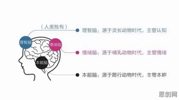 从情绪心理学角度重新理解氢能汽车研发，认知完全不同了