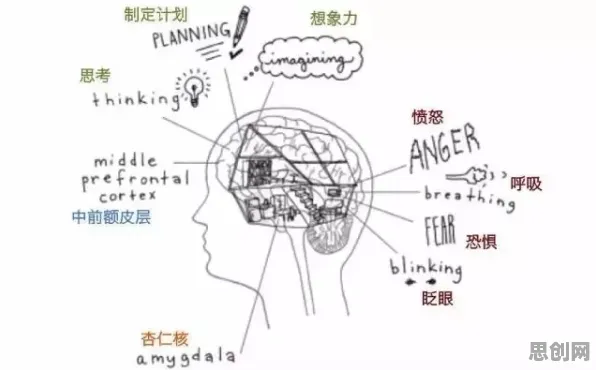 从情绪心理学角度重新理解氢能汽车研发，认知完全不同了