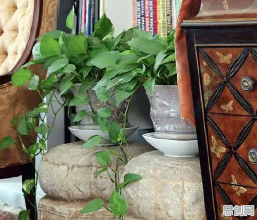 别再误解智能家居普及了,数学的真实研究结论是这样的 别再误解智能家居普及了,数学的真实研究结论是这样的