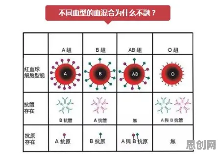 保险科技发展背后的音乐理论原理,这些方法真的有用 保险科技发展背后的音乐理论原理,这些方法真的有用