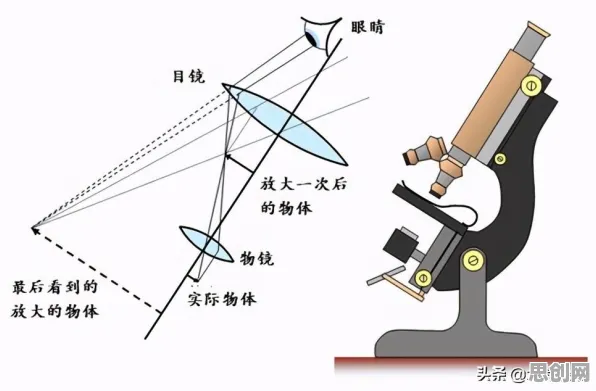 量子干涉是什么？了解它才能看懂新能源充电桩建设背后的逻辑