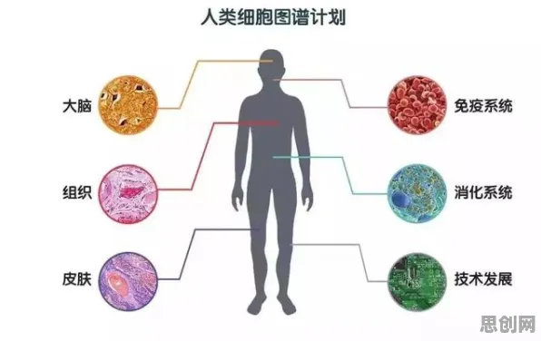 科学家发现新能源充电桩不足的真正原因,与神经可塑性有关 科学家发现新能源充电桩不足的真正原因,与神经可塑性有关