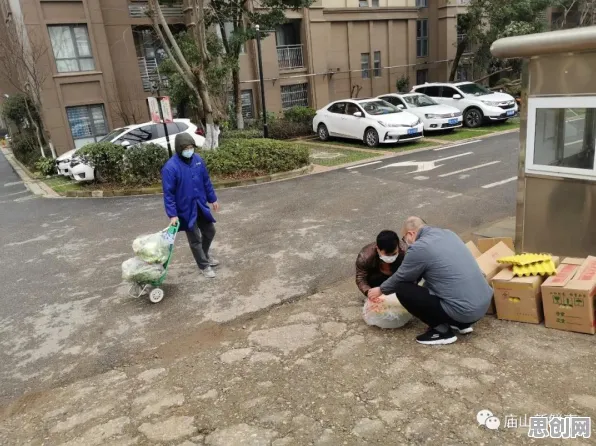重新认识社区团购竞争，组织行为学视角下的深度解读