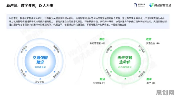 智慧交通系统现象引发热议，决策科学专家给出专业解读
