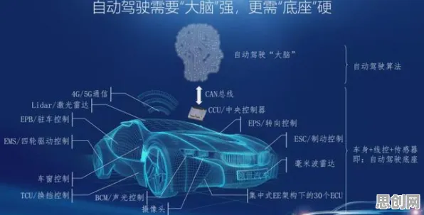 自动驾驶落地现象引发热议，神经科学专家给出专业解读