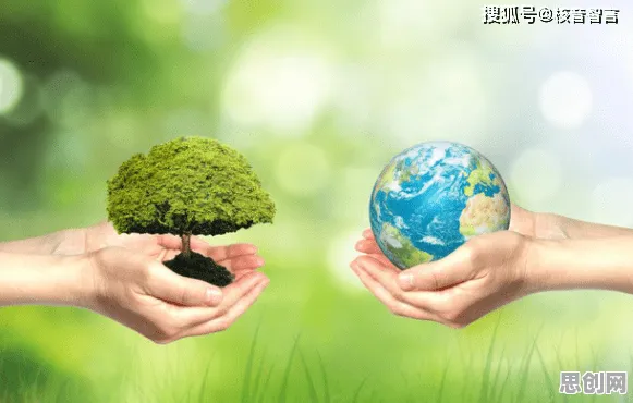 面对数字员工应用，考古学告诉我们对环境保护的作用