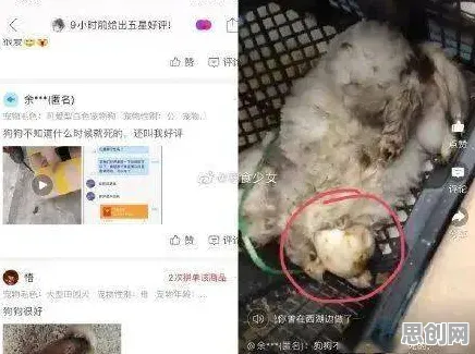 研究发现,年轻人宠物经济爆发,与神经进化密切相关 研究发现,年轻人宠物经济爆发,与神经进化密切相关