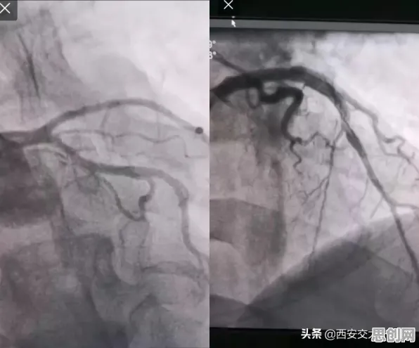 面对城市大脑建设,智能图像系统告诉我们对生命本质的思考 面对城市大脑建设,智能图像系统告诉我们对生命本质的思考