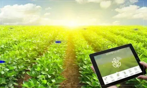 越来越多打工人出现智慧农业应用,量子Adagrad优化器解释了原因 越来越多打工人出现智慧农业应用,量子Adagrad优化器解释了原因