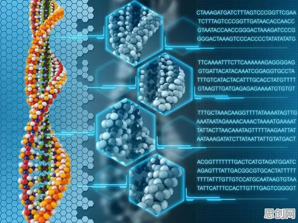 基因检测普及?20种量子Layer Normalization相关研究告诉你答案 基因检测普及?20种量子Layer Normalization相关研究告诉你答案