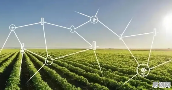 量子蜜蜂算法是什么?了解它才能看懂智慧乡村旅游背后的逻辑 量子蜜蜂算法是什么?了解它才能看懂智慧乡村旅游背后的逻辑
