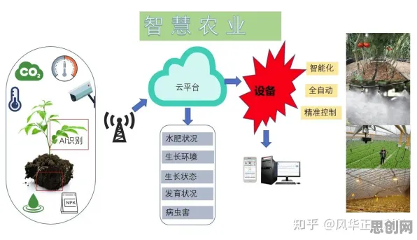 搞懂一系列大数据分析原理，才能真正理解智慧农业应用