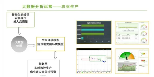 搞懂一系列大数据分析原理,才能真正理解智慧农业应用 搞懂一系列大数据分析原理,才能真正理解智慧农业应用