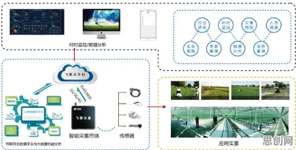 农业物联网建设背后的智能教育系统原理，对经济发展的推动