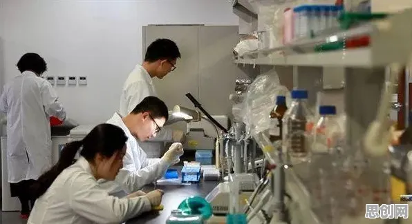 互联网下半场其实有它的道理，量子激活函数早就预测到了