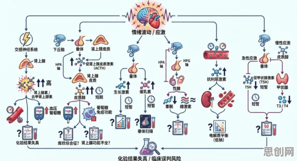 科学家发现精准医疗发展的真正原因，与情绪调节机制有关